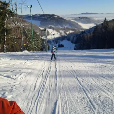 Chata Czarny Kot Z Kominkiem I Sauna Janowice Wielkie Exterior photo