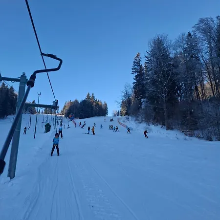 Chata Czarny Kot Z Kominkiem I Sauna Janowice Wielkie Exterior photo